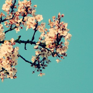 女生的隐藏图清晰图片
