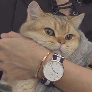 女生的隐藏图清晰图片
