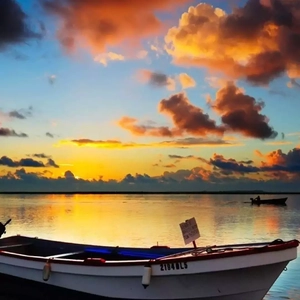 女生的隐藏图清晰图片
